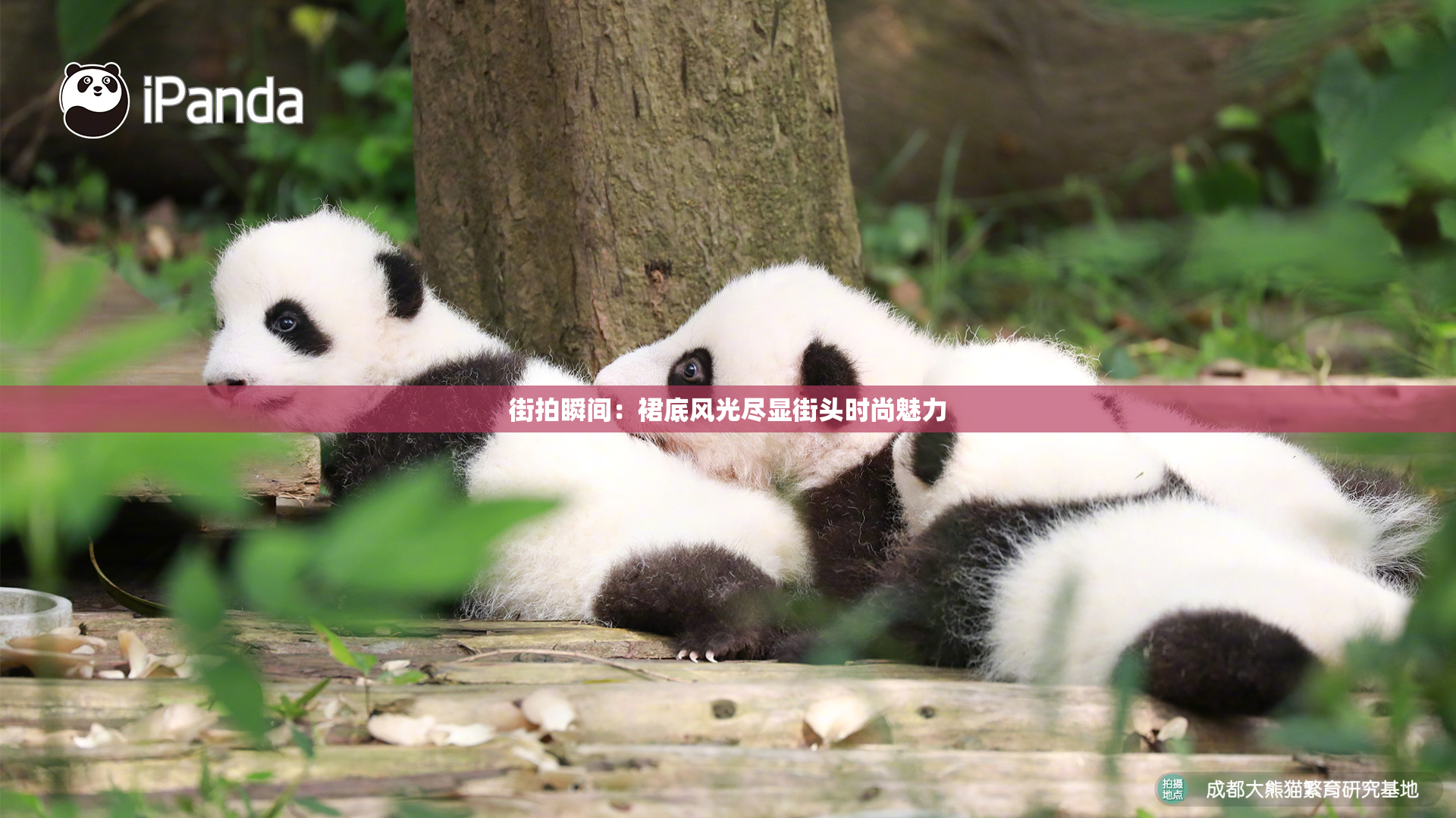街拍瞬间：裙底风光尽显街头时尚魅力