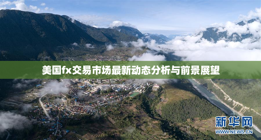 美国fx交易市场最新动态分析与前景展望