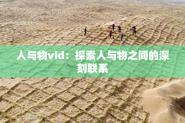 人与物vid：探索人与物之间的深刻联系