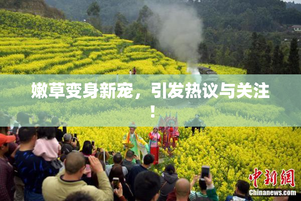 嫩草变身新宠，引发热议与关注！