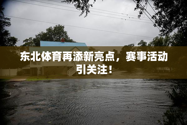 东北体育再添新亮点，赛事活动引关注！
