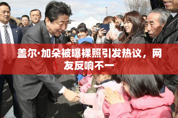 盖尔·加朵被曝裸照引发热议，网友反响不一