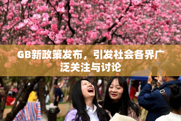 GB新政策发布，引发社会各界广泛关注与讨论