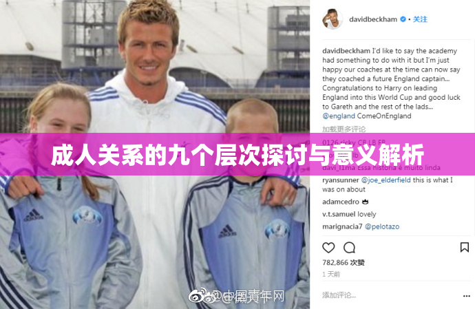 成人关系的九个层次探讨与意义解析