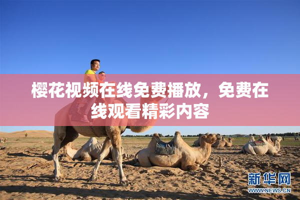 樱花视频在线免费播放，免费在线观看精彩内容