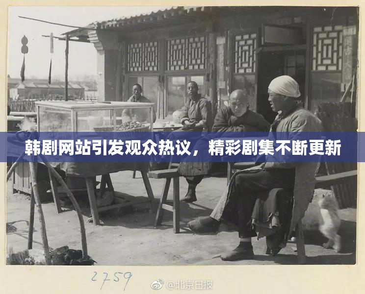 韩剧网站引发观众热议，精彩剧集不断更新