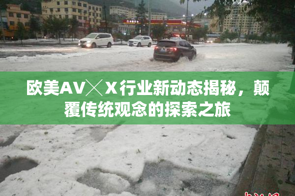 欧美AV╳Ⅹ行业新动态揭秘，颠覆传统观念的探索之旅