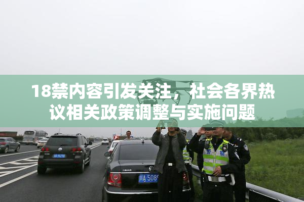 18禁内容引发关注，社会各界热议相关政策调整与实施问题