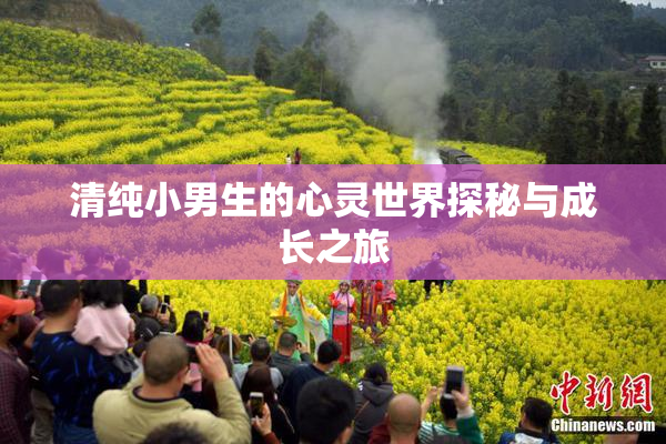 清纯小男生的心灵世界探秘与成长之旅