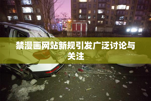 禁漫画网站新规引发广泛讨论与关注
