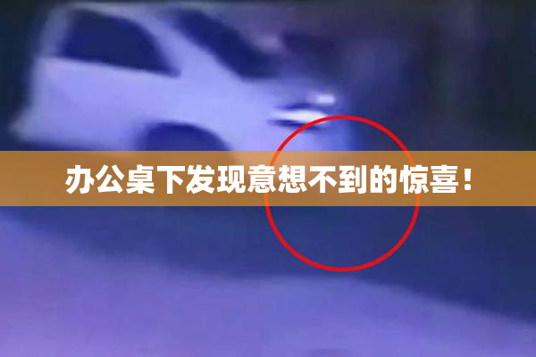 办公桌下发现意想不到的惊喜！