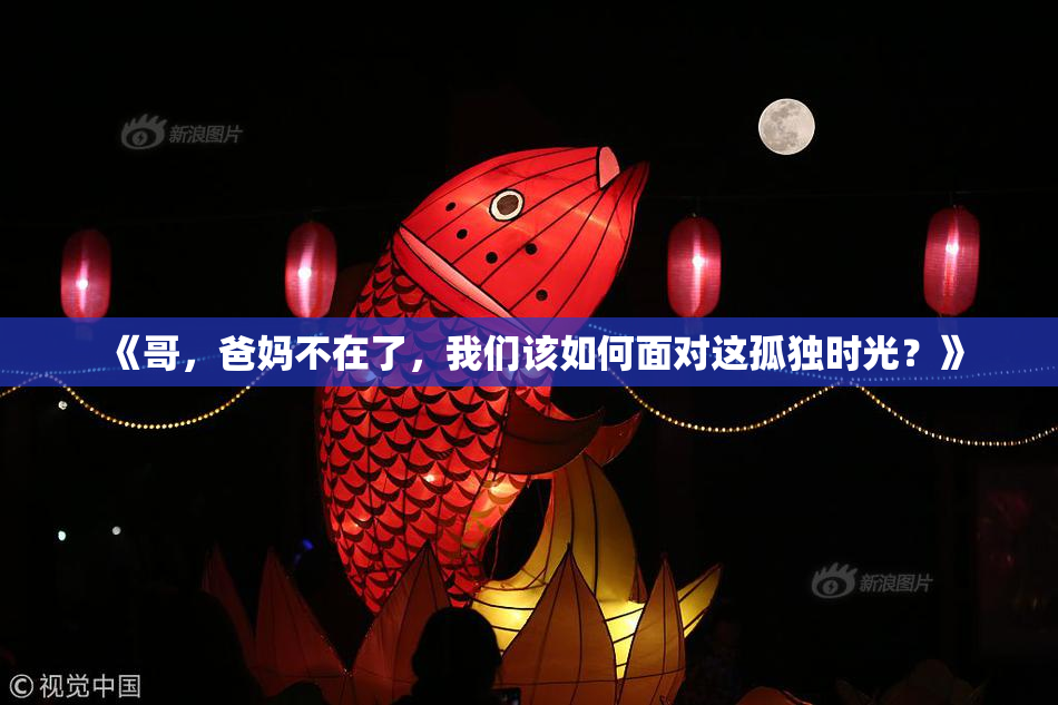 《哥，爸妈不在了，我们该如何面对这孤独时光？》