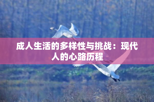 成人生活的多样性与挑战：现代人的心路历程