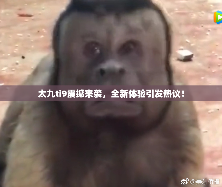 太九ti9震撼来袭，全新体验引发热议！