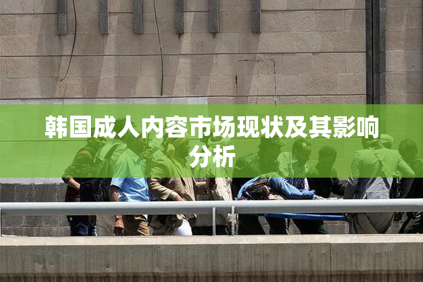 韩国成人内容市场现状及其影响分析
