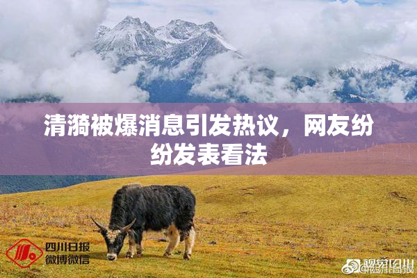 清漪被爆消息引发热议，网友纷纷发表看法