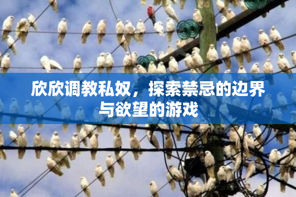 欣欣调教私奴，探索禁忌的边界与欲望的游戏