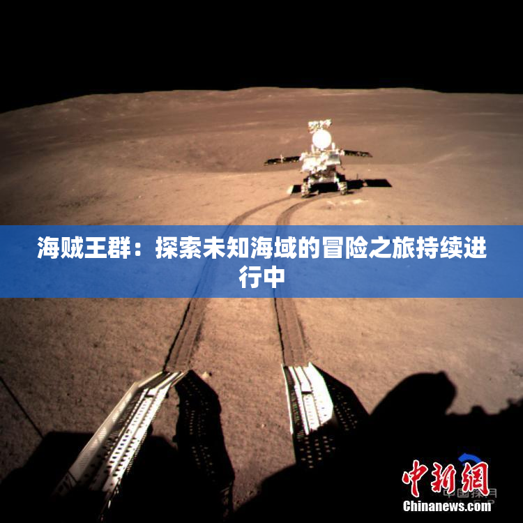 海贼王群：探索未知海域的冒险之旅持续进行中