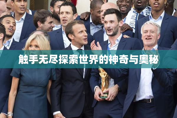 触手无尽探索世界的神奇与奥秘