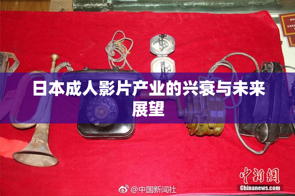 日本成人影片产业的兴衰与未来展望