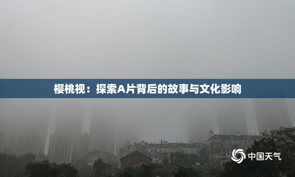 樱桃视：探索A片背后的故事与文化影响