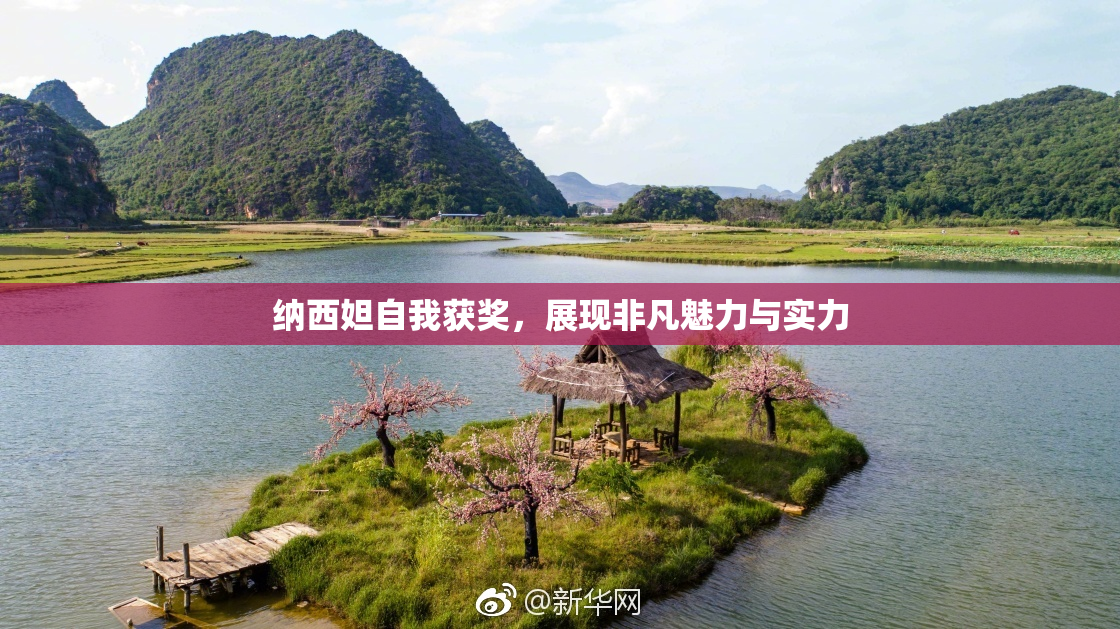 纳西妲自我获奖，展现非凡魅力与实力