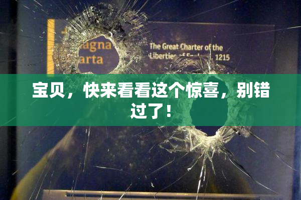 宝贝，快来看看这个惊喜，别错过了！