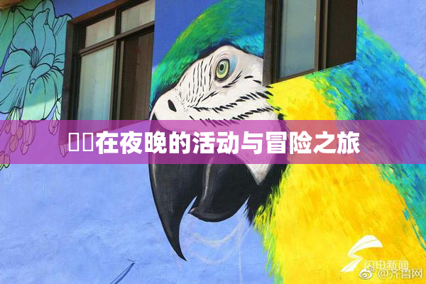 妺妺在夜晚的活动与冒险之旅