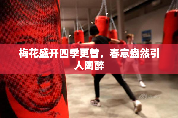 梅花盛开四季更替，春意盎然引人陶醉