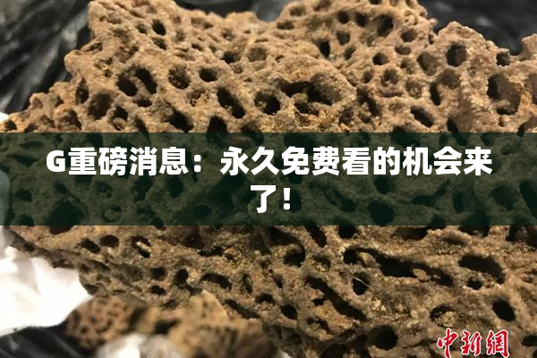 G重磅消息：永久免费看的机会来了！