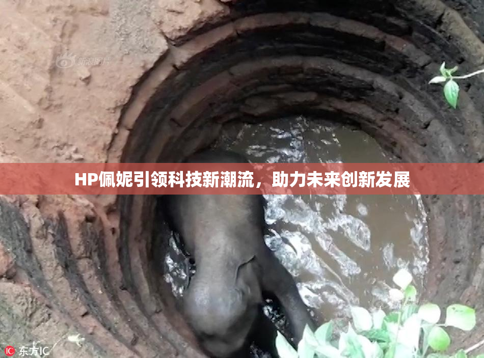 HP佩妮引领科技新潮流，助力未来创新发展