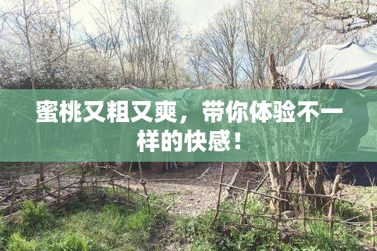 蜜桃又粗又爽，带你体验不一样的快感！