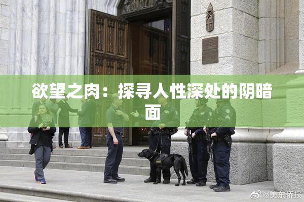 欲望之肉：探寻人性深处的阴暗面