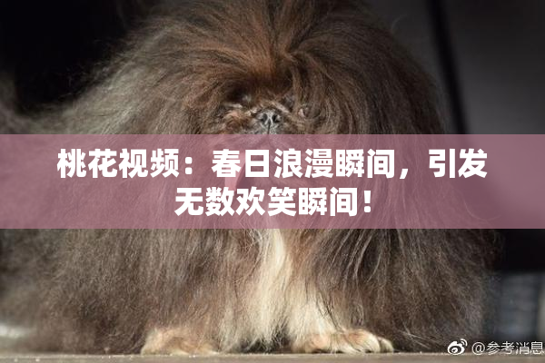 桃花视频：春日浪漫瞬间，引发无数欢笑瞬间！