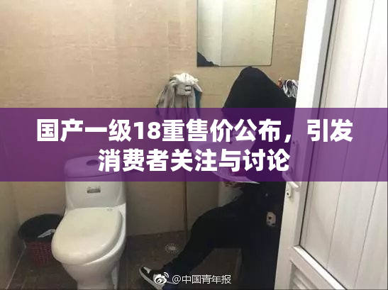国产一级18重售价公布，引发消费者关注与讨论