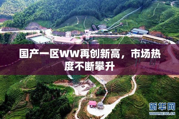 国产一区WW再创新高，市场热度不断攀升