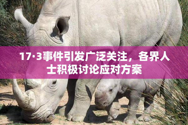 17·3事件引发广泛关注，各界人士积极讨论应对方案