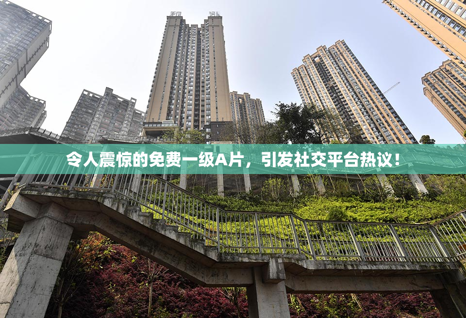 令人震惊的免费一级A片，引发社交平台热议！