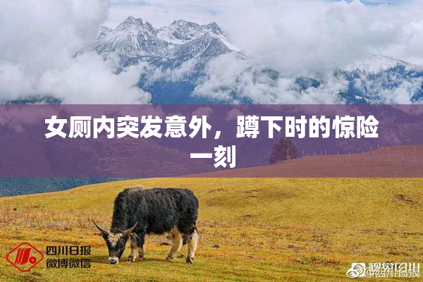 女厕内突发意外，蹲下时的惊险一刻