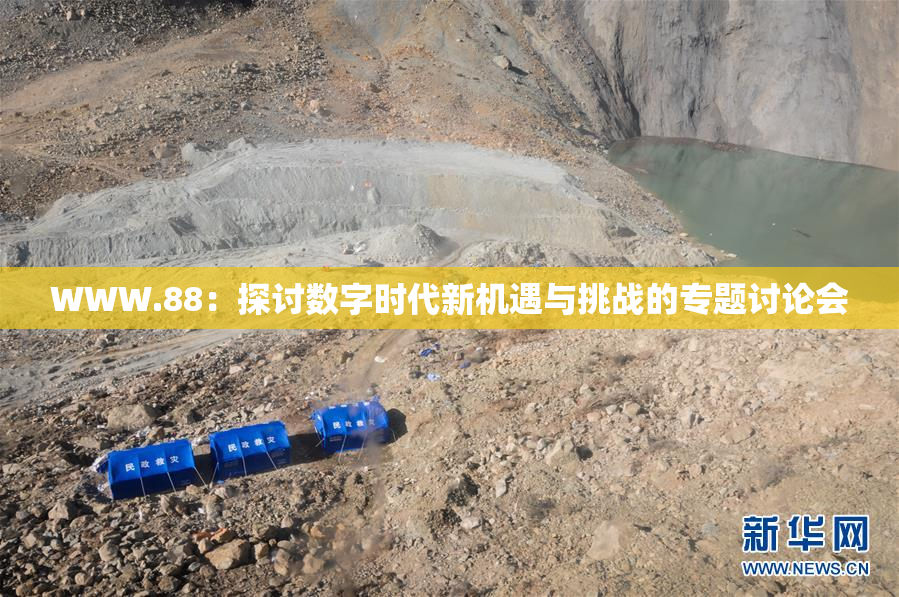 WWW.88：探讨数字时代新机遇与挑战的专题讨论会