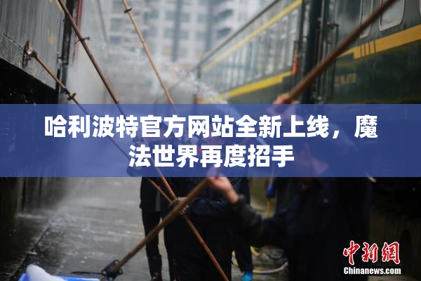 哈利波特官方网站全新上线，魔法世界再度招手