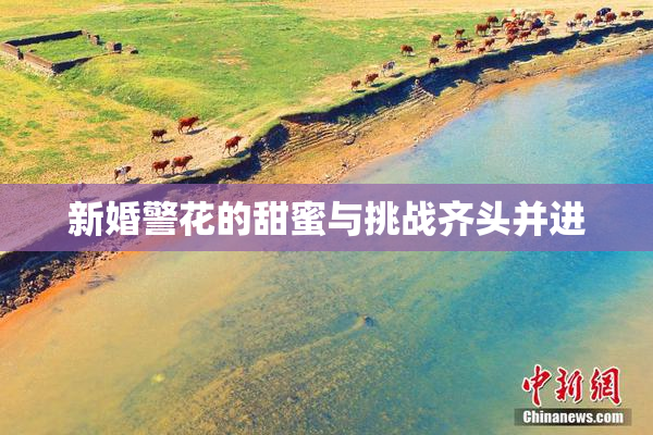 新婚警花的甜蜜与挑战齐头并进