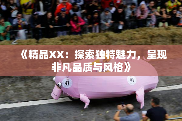 《精品XX：探索独特魅力，呈现非凡品质与风格》