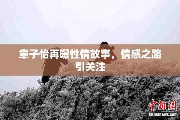章子怡再曝性情故事，情感之路引关注