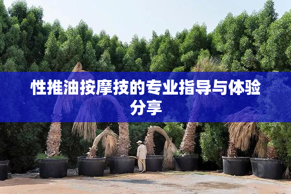 性推油按摩技的专业指导与体验分享