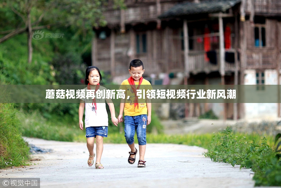 蘑菇视频再创新高，引领短视频行业新风潮