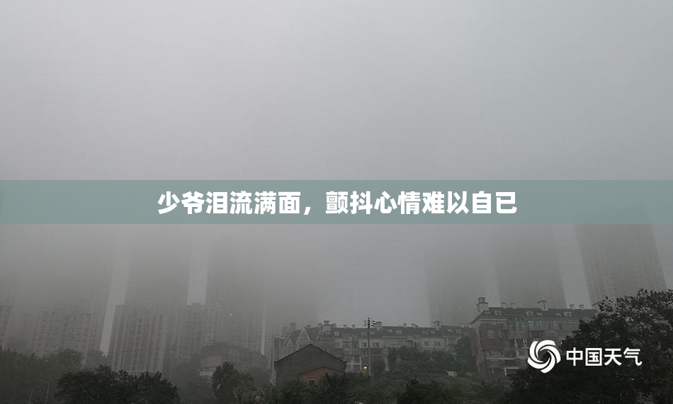 少爷泪流满面，颤抖心情难以自已