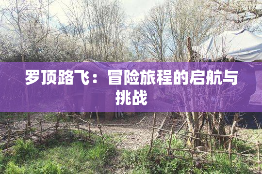 罗顶路飞：冒险旅程的启航与挑战