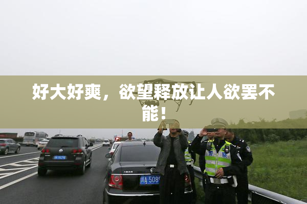 好大好爽，欲望释放让人欲罢不能！