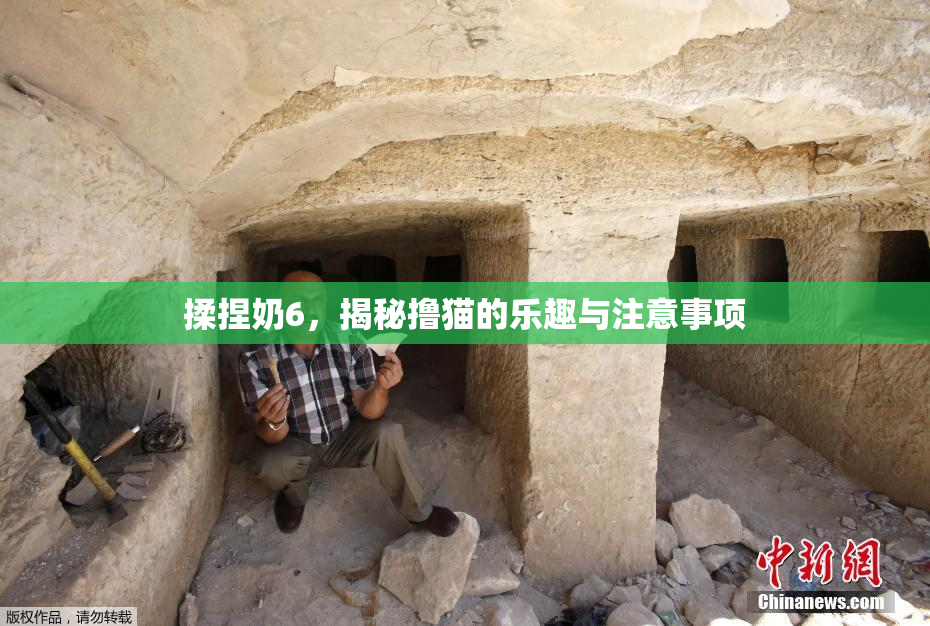 揉捏奶6，揭秘撸猫的乐趣与注意事项